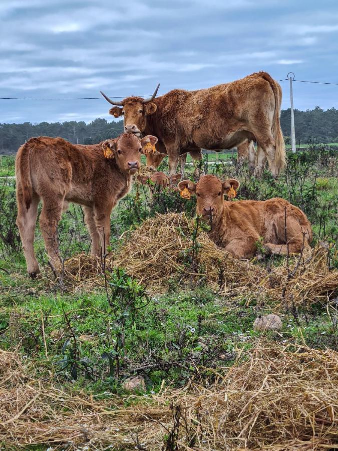 Herdade Da Vagem Rogil Luaran gambar